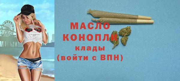 ALPHA PVP Инсар