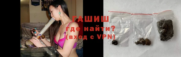 СК Инта