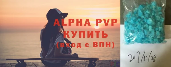 СК Инта