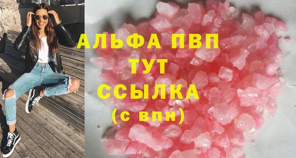 СК Инта