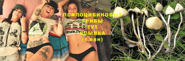 2c-b Иннополис