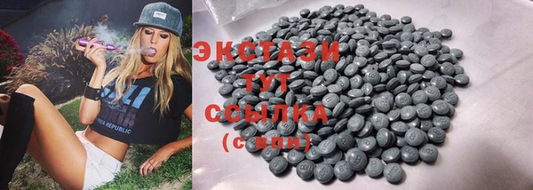 СК Инта